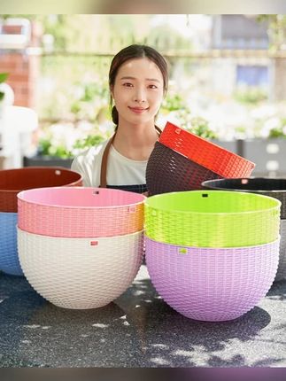 垂吊吊兰花盆悬挂式塑料藤编吊篮懒人吸水挂壁绿萝常春藤吊球加厚#垂吊吊兰花盆 #悬挂式花盆 #塑料藤编 #懒人吸水 #绿萝吊篮