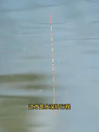 超长行程夜光漂加长漂尾长款浮漂硬尾咬钩变色日夜两用钓翘嘴鲢鳙 #超长行程夜光漂加长漂尾长款浮漂硬尾咬钩 #变色日夜两用钓翘嘴鲢鳙 #钓鱼的乐趣只有钓鱼人懂