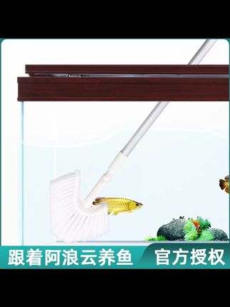 鱼缸清洗神器 鱼缸清洗神器刷子清洁长柄无死角除藻类刮刀清理内壁方便擦鱼缸刷 #鱼缸清洗神器 #刷子 #缸刷