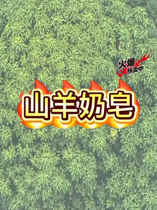 奶皂花香精油润肤除螨皂洗脸皂沐浴皂洗澡茉莉留香香皂#奶皂 #香皂 #留香香皂 #洗脸皂 #沐浴皂
