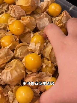 东北姑娘果 谁能告诉我!?姑娘果到底洗不洗? #姑娘果 #灯笼果 #菇娘果 #东北特产
