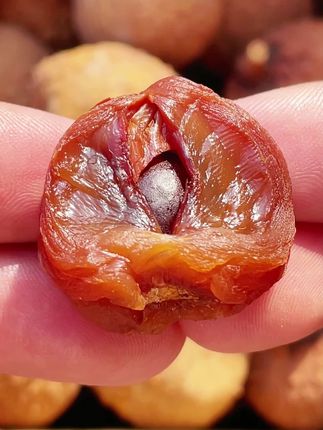 我就这么卖,夏天吃荔枝,赛果喝参汤,而且我们都是自家种植的,更加健康实惠#荔枝干 #三农 #优质农产品