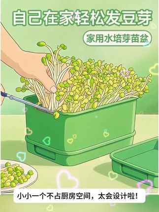 没有比这更适合懒人的豆芽盒啦!4天就可以在家做出豆芽!简单又有趣孩子又喜欢!#自发绿豆芽 #种植小技