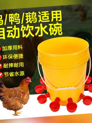 养鸡用自动饮水器鸡鸭鹅饮水碗喝水碗鹌鹑家禽鸟小鸡喂食神器养殖#养鸡神器 #自动饮水器 #家禽喂食 #饮水碗 #养殖用品