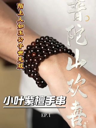 #手串 #普陀山 #小叶紫檀 #文玩