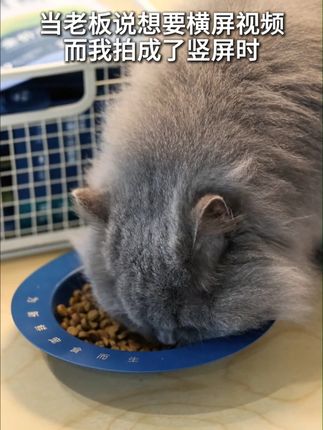 嘿嘿嘿 难不住我吧 #猫粮 #鲜朗
