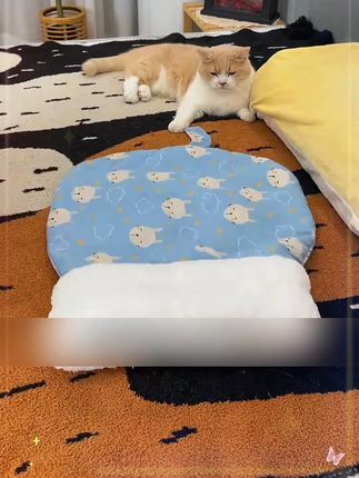 在床上放一个猫咪喜欢的小睡袋,不到两分钟就有小猫来陪睡啦# 养猫新手 # 猫咪睡袋 # 猫窝