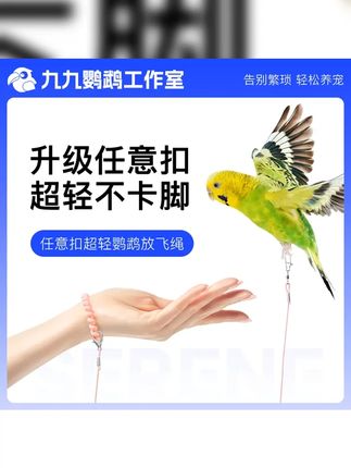 鹦鹉放飞绳户外遛鸟牵引弹力绳超轻不伤脚训练绳玄凤 #鹦鹉鹦鹉萌萌哒逗鹦鹉 #萌宠 #鹦鹉 #鹦鹉放飞绳 #金丝熊