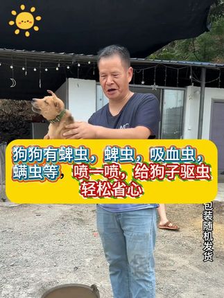 狗子养得好,就在家里常备它 #养狗人 #养狗经验分享 #养狗必备