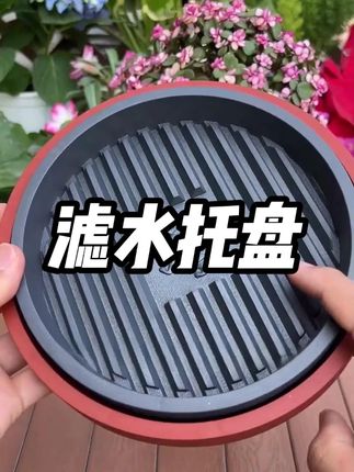花博士圆形花盆托盘加厚招财树脂深接水盘加高控根透气花盘垫底托 #花盆托盘 #沥水托盘 #透气花盆托盘 #结实耐用 #日用百货