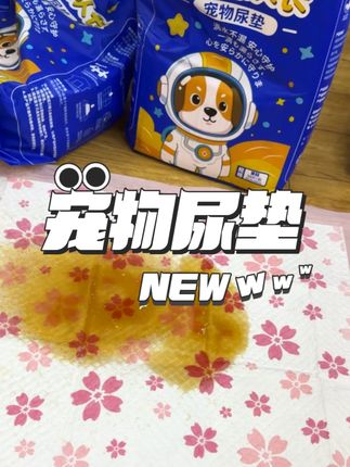 一镜到底进行吸水测试,这就是进口绒毛浆的魅力!#萌宠好物 #宠物尿垫推荐 #宠物尿垫 #宠物用品