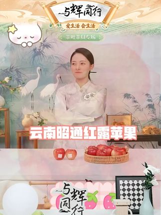 云南昭通红露冰糖心丑苹果脆甜多汁现摘现发整箱3/5/10斤 #云南昭通红露苹果 #云南红露苹果 #昭通红露苹果 #红露苹果 #天天优选
