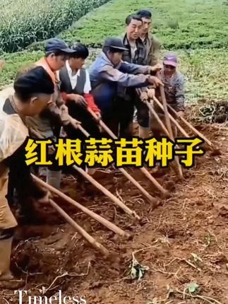 献给孩子的童诗集🔥。治愈人心又充满想象力的童诗,于睡前温暖的灯光下陪伴孩子一起读一读,随便一句写进作文里,都是锦上添花,作文想不拿高分都难~#作文素材 #好书分享 #让阅读成为一种习惯 #童诗 #图文热点来了