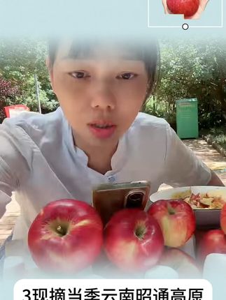 自从去年卖了高原昭通红雾苹果,姐妹们一直问什么时候有,这不,终于新鲜采摘了,香甜脆带点点微酸,真的吃一次很难忘记的味道