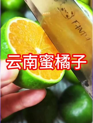 #青皮橘子 #橘子 #优质农产品 #口感特别好 #当季水果