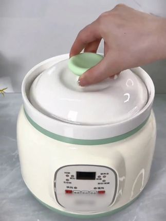 陶瓷全自动电炖锅家用煲汤锅多功能电用砂锅燕窝炖盅快炖煮粥神器#电炖锅 #砂锅 #电炖砂锅 #陶瓷砂锅 #煲汤锅