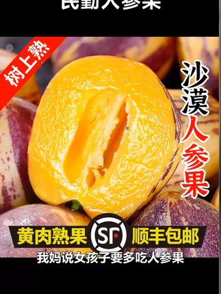 甘肃民勤人参果大果,鲜嫩多汁,味道清甜,低糖水果老人也能吃,外皮很薄,果子头大水分足,甜度够,咬一口爆汁,顺丰配送 #民勤人参果 #人参果 #多汁水果 #甘肃水果 @DOU+小助手