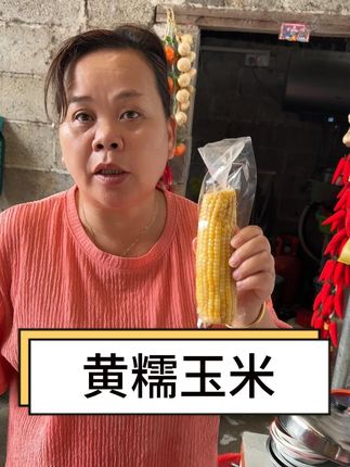 三分甜七分糯的黄糯玉米,当早餐每天都吃不腻#得管家好物 #黄糯玉米