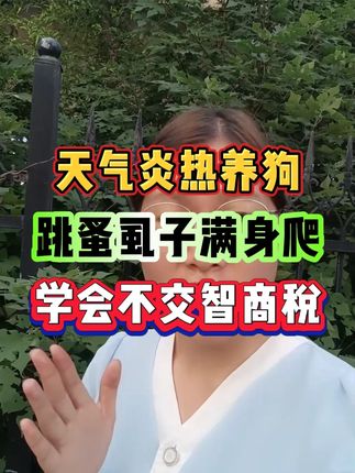 天气炎热养狗跳蚤虱子满身爬,学会这招不交智商税!#养狗经验分享 #狗狗 #驱虫 #除癞灵 #科学养宠攻略