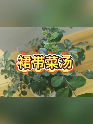 速食裙带菜汤  #懒人美食  #即食汤  #健康轻食  #办公室零食  #快速料理