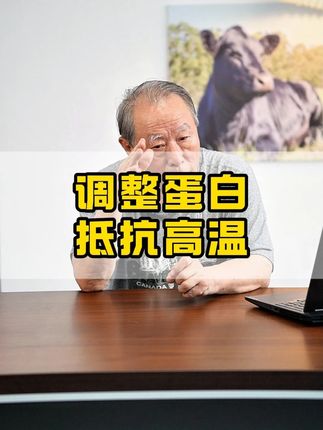 K夏季高温地区,要降低日粮蛋白摄入,防暑保牛#老韩博士 #纽卡美预混料 #牛热应激 #养牛 @抖音创作小助手