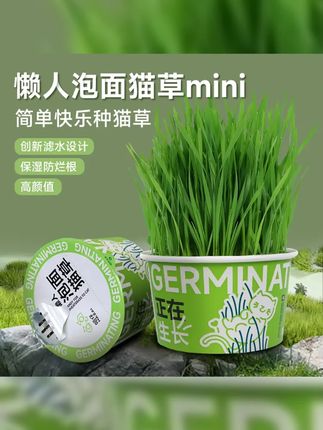 哈仔懒人泡面猫草创新滤水设计猫咪零食化毛排毛球懒人猫草mini #养猫经验分享 #鹦鹉草 #萌宠出道计划 #养猫新手 #化毛