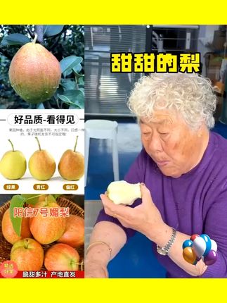 【阳信媚梨7号】正宗山东阳信媚梨7号脆甜多汁产地直发 #阳信 #媚梨号 #直发