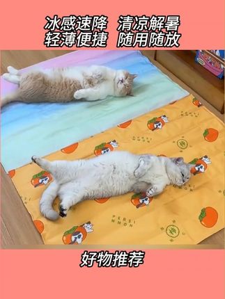 夏天给毛孩子准备凉凉的大冰垫,冰冰凉凉睡觉真的很舒服#宠物冰垫 #狗狗冰垫 #萌宠好物 #养狗经验分享 #无限回购的宝藏单品 #好物推荐