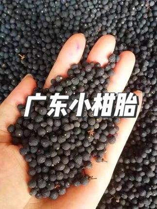 【2014年柑胎】正宗广东小柑胎太阳生晒柑胎仔柑胎茶陈皮柑 #广东小柑胎 #小柑胎 #小柑胎茶 #小柑胎功效 #小柑胎茶的功效与禁忌