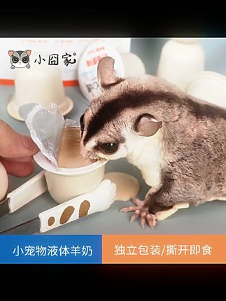 松鼠零食液体羊奶蜜袋鼯零食蜜袋鼬果冻奖励仓鼠营养用品羊奶布丁  #新手养宠 #宠物零食 #萌宠日记