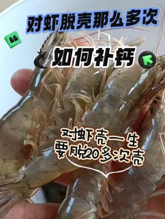 脱壳如何补钙=#水产养殖 #离子钙 #南美白对虾