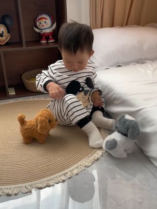 被问爆的电动毛绒小狗! 软乎乎的手感 + 超萌动作,送礼自留都绝了#玩个很新得东西 #毛绒玩具 #毛绒小狗 #宝宝玩具 #泰迪熊