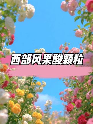 #钓鱼饵料#渔具用品#饵料窝料#钓鱼#西部风打窝颗粒