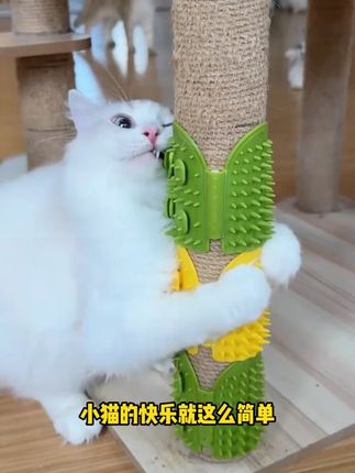 猫咪经常蹦痒的可以在桌腿上绑一个蹭痒器,蹭痒的同时还能去浮毛 #萌宠好物 #新手养猫 #猫咪挠痒神器推荐