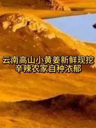 正宗小黄姜是什么样的?买了还想吃,别再傻傻的被骗了!#生姜 #优质农产品 #滋补养生食材 #源头好货 #小黄姜