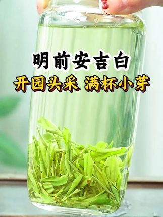 #安吉白茶 #每日一茶 #茶叶 #绿茶 #爱生活爱喝茶