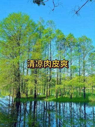怎么到现在才发现,这个看似不起眼的肉皮爽这么好吃呀!Q弹爽滑麻麻辣辣的还有肉香巨好吃!#酸辣爽口 #凉拌菜 #超便宜超划算 #即食 #肉皮冻