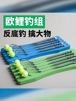 欧式鲤鱼钓组反底钓单钩双钩珠珠钓专钓鲤鱼草鱼微离底欧鲤钓组 #反底钓组 #欧式钓组 #欧式反底钓组 #反底钓法 #鱼钩