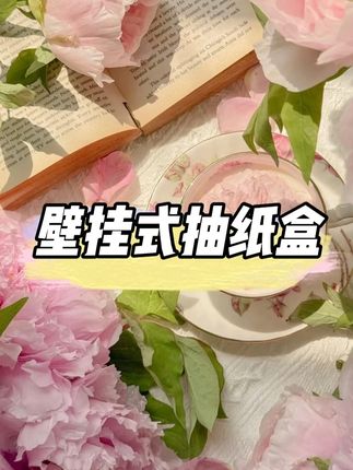 在卫生间里装一个这样的免打孔纸巾盒真的太方便了 #卫生间好物#纸巾盒#防水纸巾盒#壁挂式纸巾盒#免打孔纸巾盒