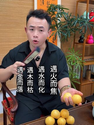 传说中的人参果~ #水果 #人参果