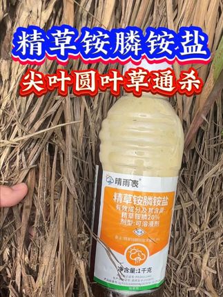 20%精草铵膦铵盐除草剂桶装精草铵磷果园强力杂草除草烂根剂正 #农业种植#三农#除草剂#农资肥料#精草铵膦铵盐