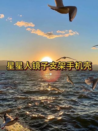 超可爱的奶黄色星星人~立体可旋转小星星还带超实用镜子小支架~#手机壳小众高级#手机数码#爱了爱了#无限回购的宝藏单品#在抖音入手的好东西