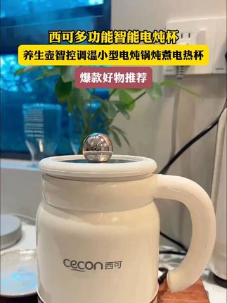 原来杯子也能煮米饭了,早上出门把生米食材放进去,半个小时就可以开饭了#电炖杯 #电煮体杯 #好物推荐 #旅行必备