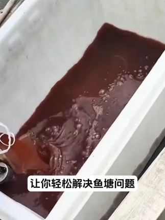 让您轻松解决鱼塘问题 #水产养殖 #高密度养殖 #养殖人加油 #水产 #高密度水产养殖