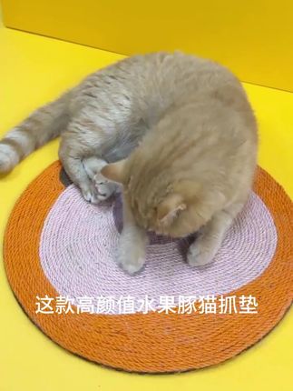 达人专属!FURRYBUM水果豚猫抓垫耐抓不掉屑可贴墙 #不掉屑猫抓垫 #水果豚猫抓垫 #耐抓麻绳猫垫 #可贴墙猫抓垫 #FURRYBUM猫抓垫