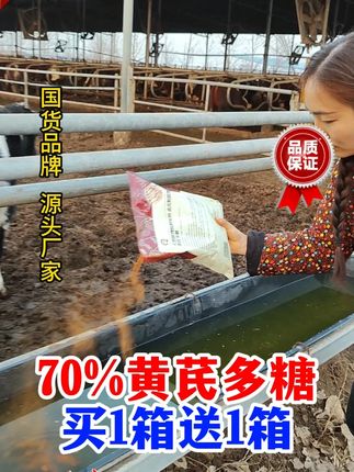 养殖的家人们,买黄芪送国标板青啦! #养殖场专用 #华畜 #牛羊养殖 #孕畜养殖