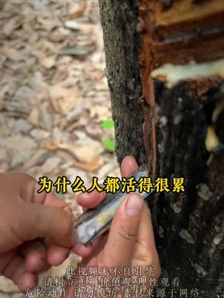 这是孩子爱看的漫画书《漫画版天机》教会孩子如何正确解决问题 #闪光毕业季 #人情世故 #为人处世 #思维格局改变人生