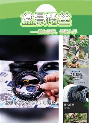 盆景造型必备铝丝,多种规格可选!!凹出新造型!!#手工铝丝盆景 #造型盆景 #盆景铝丝 #盆景制作