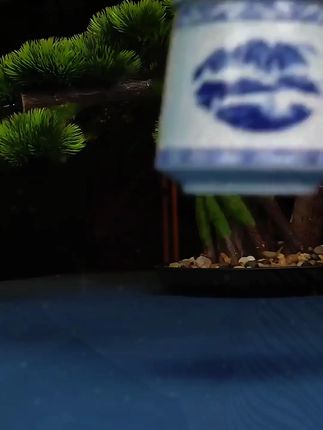 景德镇高白瓷青花玲珑办公杯手绘雕刻复古中式高档大容量主人杯#景德镇高白瓷青花玲珑办公杯 #高档大容量 #好物推荐