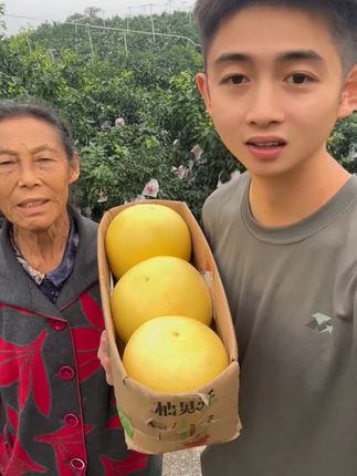 红柚